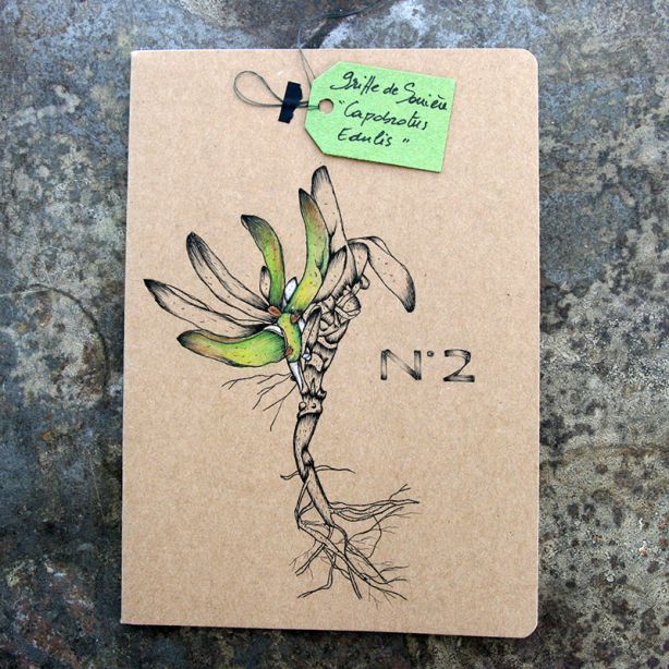 Carnet-notebook ligné botanic A5 - Dessin griffes de sorcière