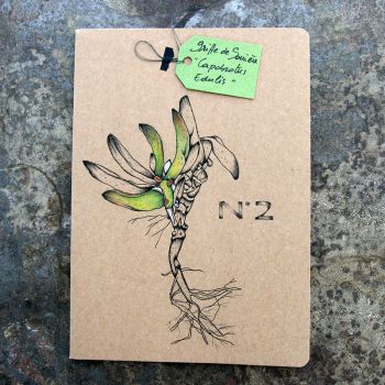 Carnet-notebook ligné botanic A5 - Dessin griffes de sorcière