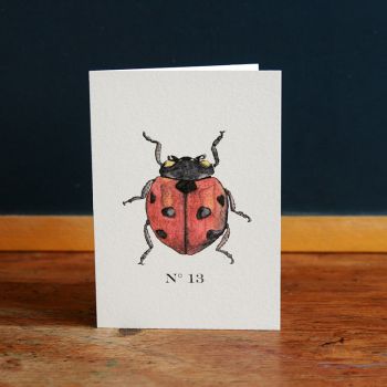 Carte double-Coccinelle rouge